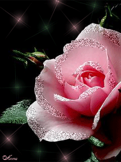 flowers 64.gif